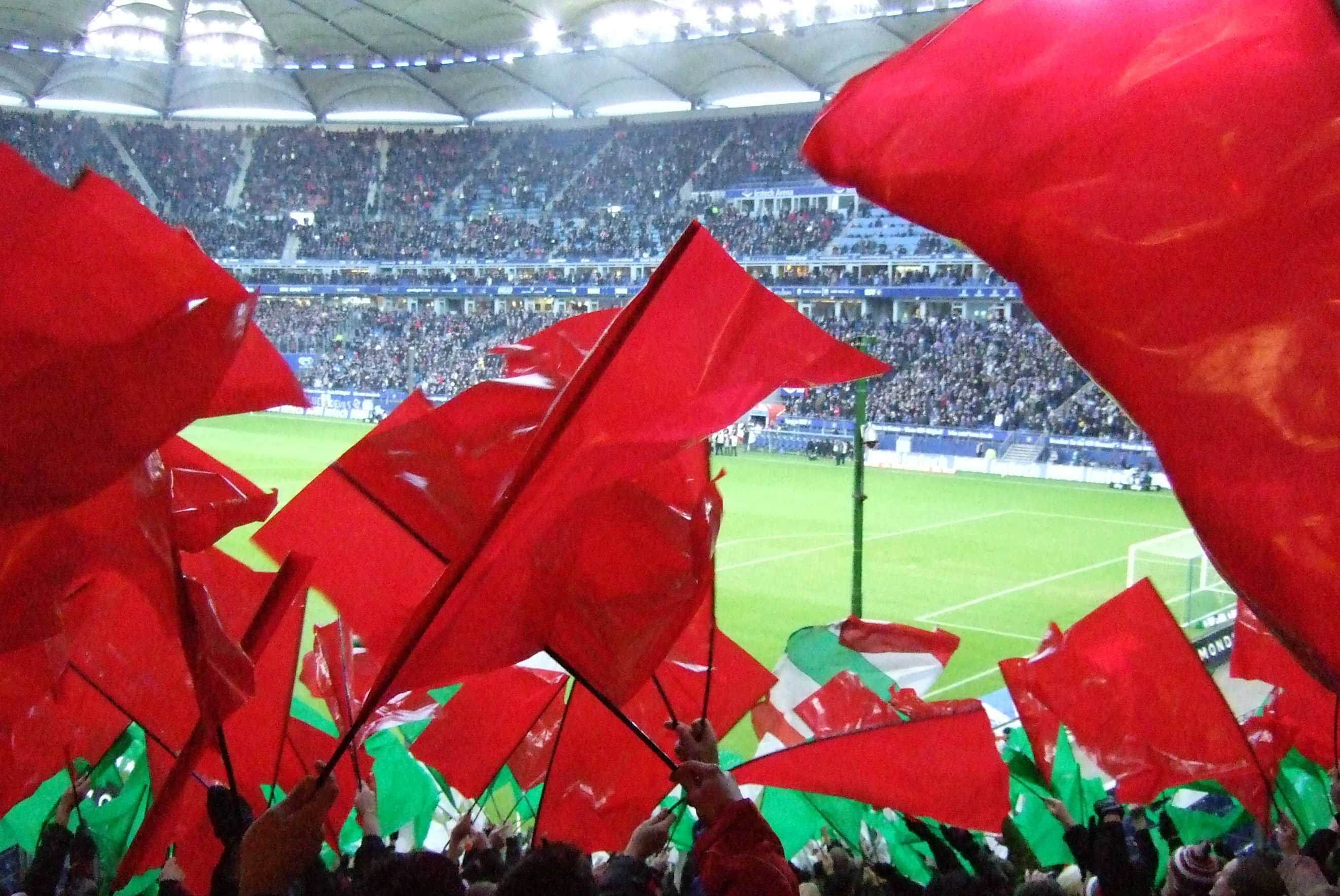 hsv_fca_06