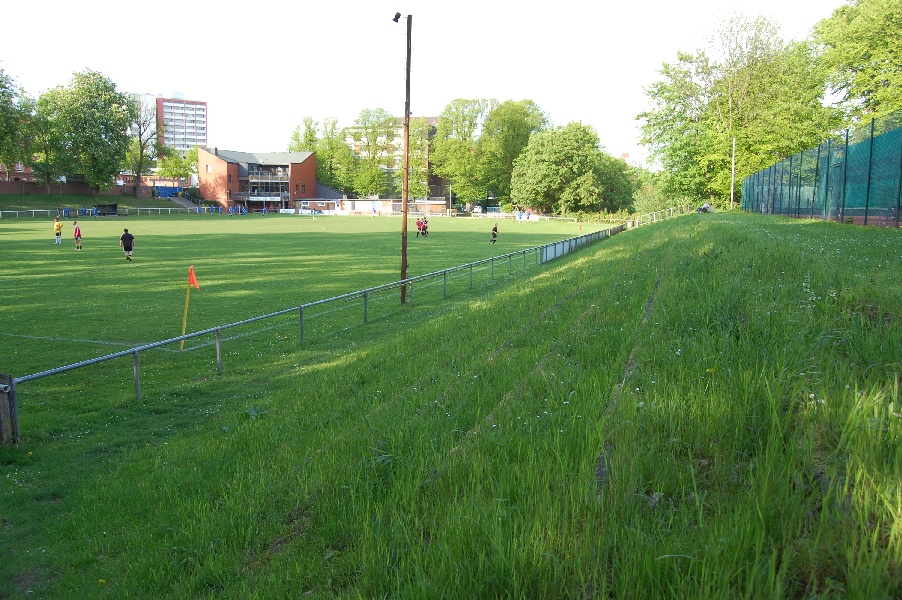 waldwiese02