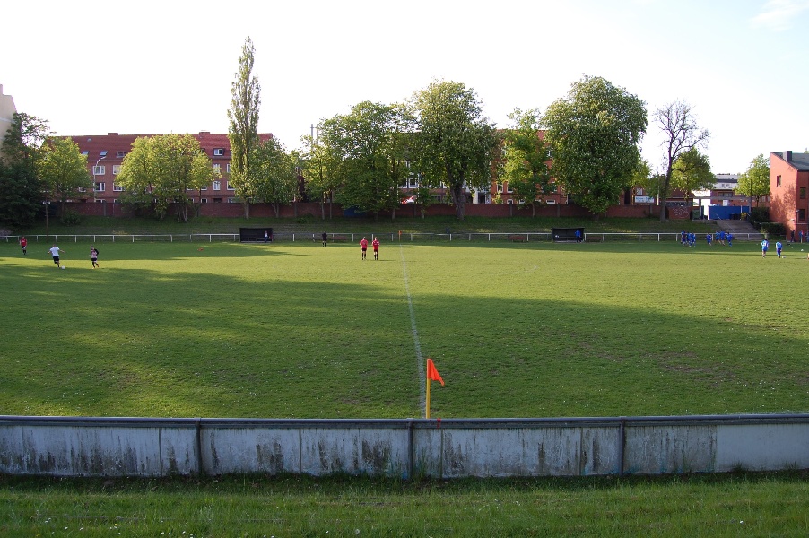 waldwiese05