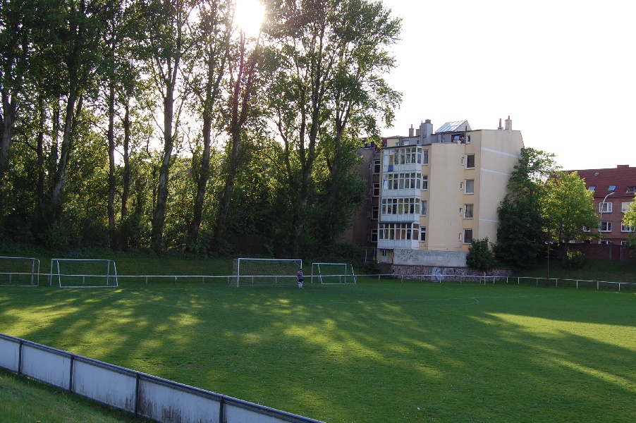 waldwiese10
